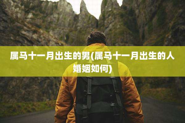 属马十一月出生的男(属马十一月出生的人婚姻如何)