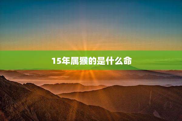 15年属猴的是什么命