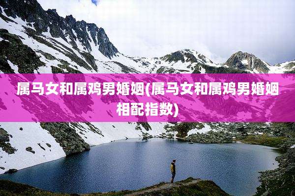 属马女和属鸡男婚姻(属马女和属鸡男婚姻相配指数)