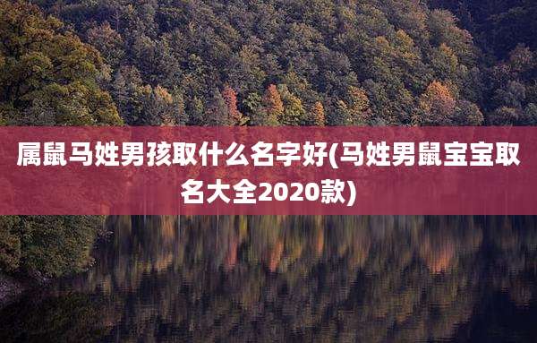 属鼠马姓男孩取什么名字好(马姓男鼠宝宝取名大全2020款)