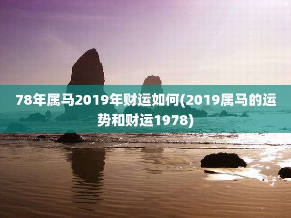 78年属马2019年财运如何(2019属马的运势和财运1978)
