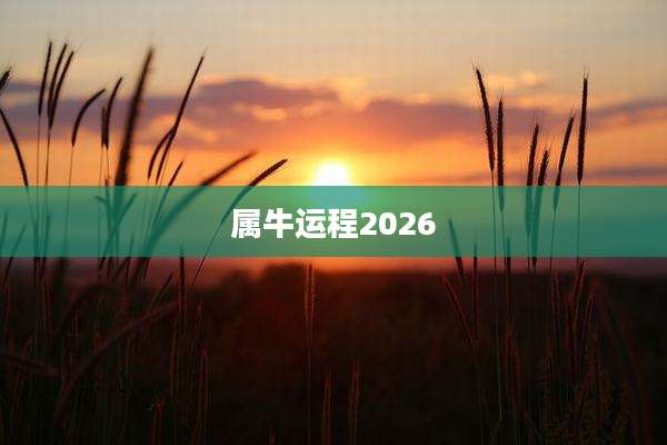属牛运程2026