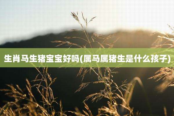 生肖马生猪宝宝好吗(属马属猪生是什么孩子)
