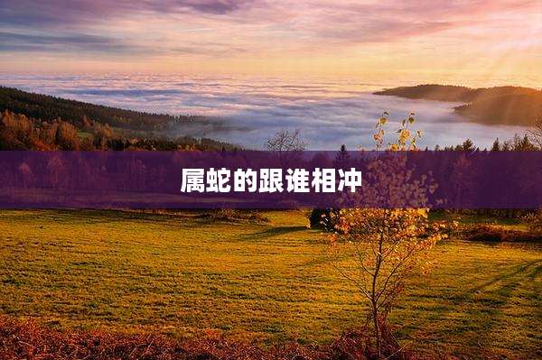 属蛇的跟谁相冲