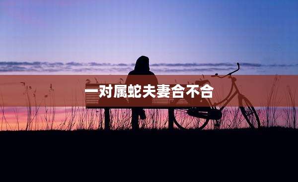 一对属蛇夫妻合不合