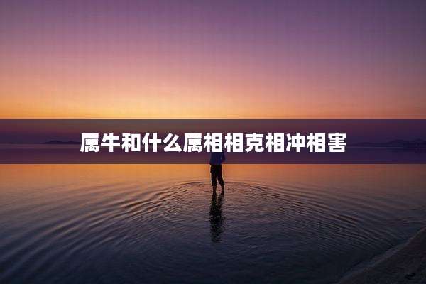 属牛和什么属相相克相冲相害