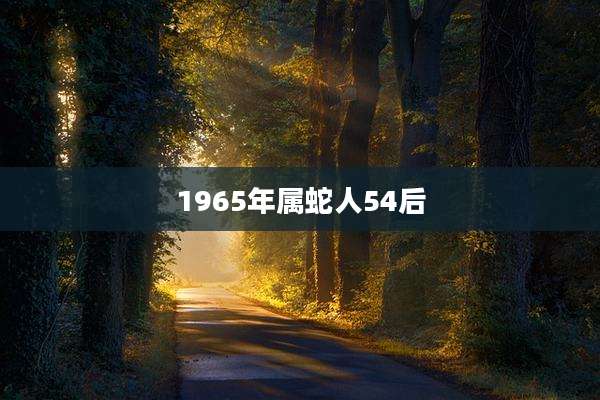 1965年属蛇人54后