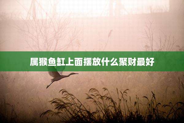 属猴鱼缸上面摆放什么聚财最好