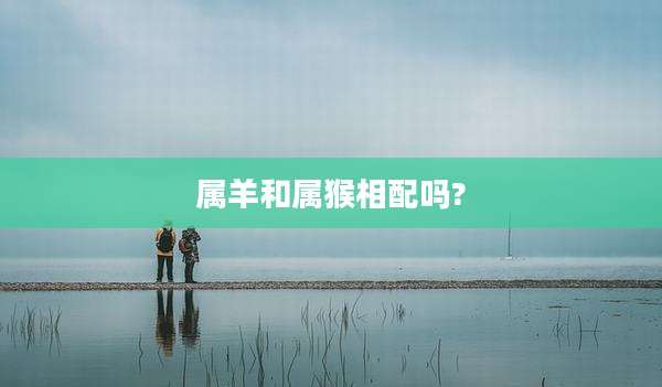 属羊和属猴相配吗?