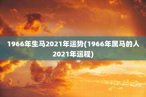 1966年生马2021年运势(1966年属马的人2021年运程)