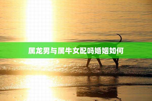 属龙男与属牛女配吗婚姻如何