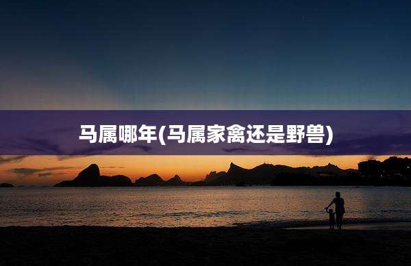 马属哪年(马属家禽还是野兽)