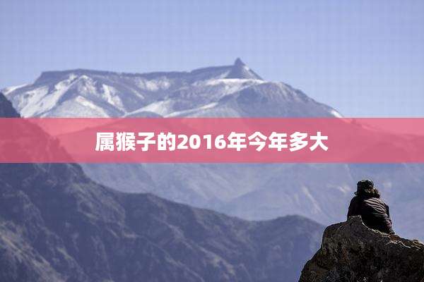 属猴子的2016年今年多大