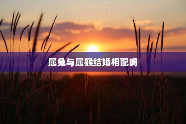 属兔与属猴结婚相配吗