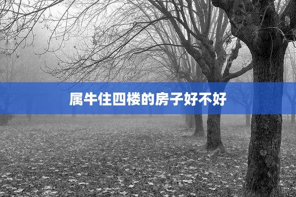 属牛住四楼的房子好不好