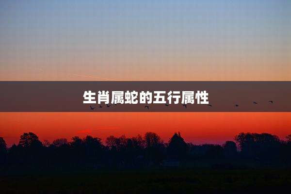 生肖属蛇的五行属性