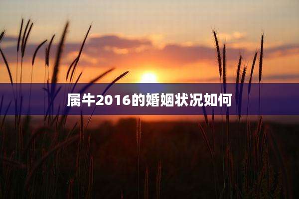 属牛2016的婚姻状况如何