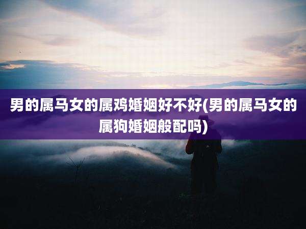 男的属马女的属鸡婚姻好不好(男的属马女的属狗婚姻般配吗)