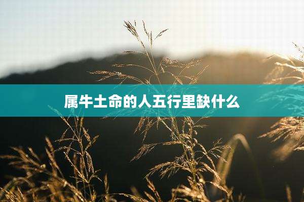 属牛土命的人五行里缺什么