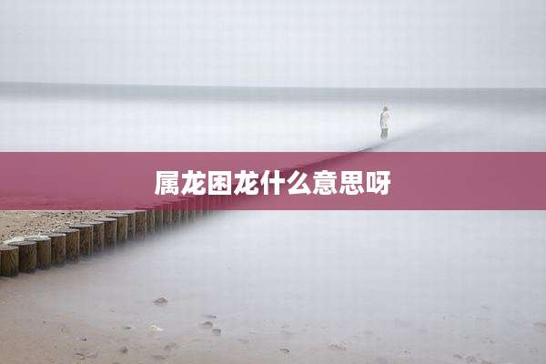 属龙困龙什么意思呀