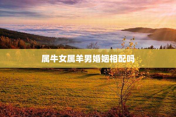 属牛女属羊男婚姻相配吗
