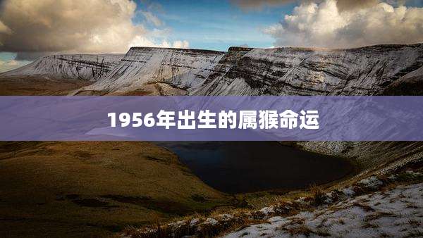 1956年出生的属猴命运