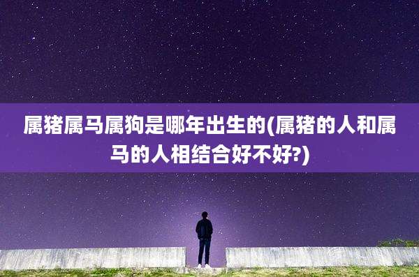 属猪属马属狗是哪年出生的(属猪的人和属马的人相结合好不好?)