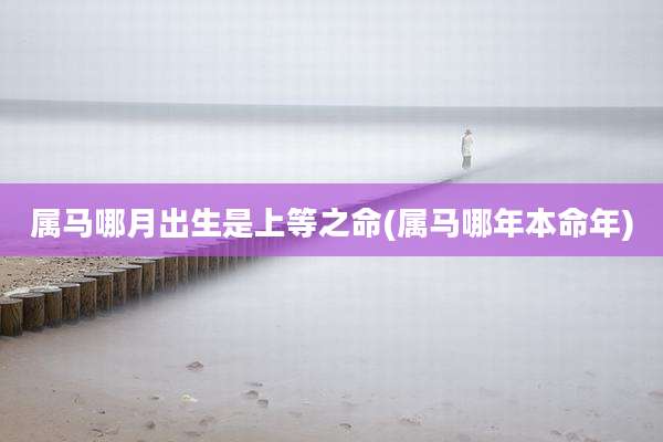 属马哪月出生是上等之命(属马哪年本命年)