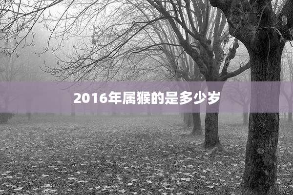 2016年属猴的是多少岁