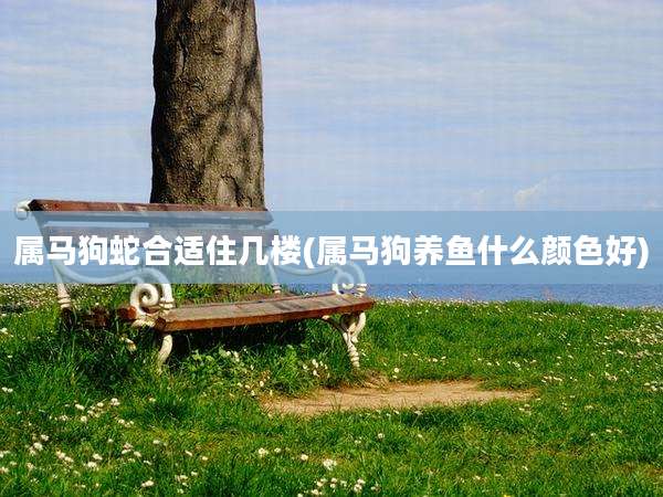 属马狗蛇合适住几楼(属马狗养鱼什么颜色好)