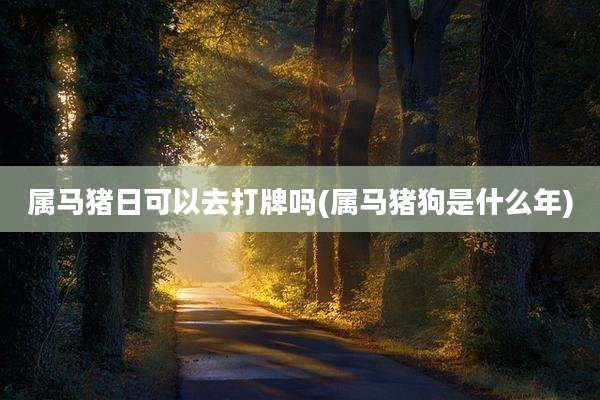 属马猪日可以去打牌吗(属马猪狗是什么年)