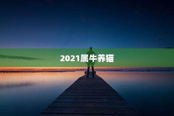2021属牛养猫