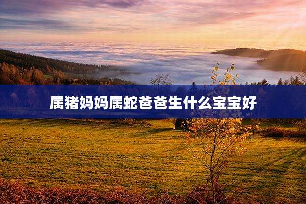 属猪妈妈属蛇爸爸生什么宝宝好