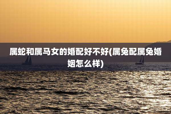 属蛇和属马女的婚配好不好(属兔配属兔婚姻怎么样)