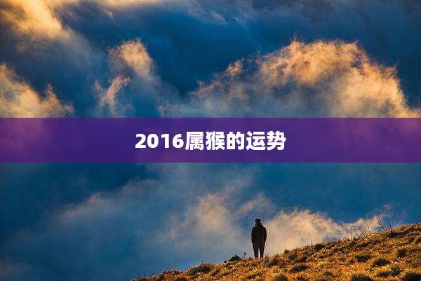 2016属猴的运势
