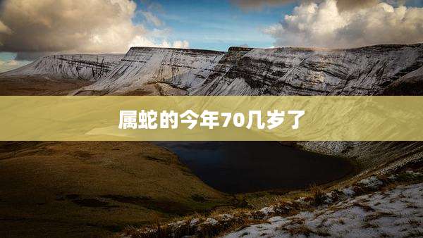属蛇的今年70几岁了