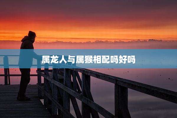 属龙人与属猴相配吗好吗