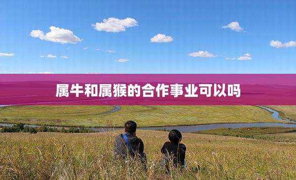 属牛和属猴的合作事业可以吗
