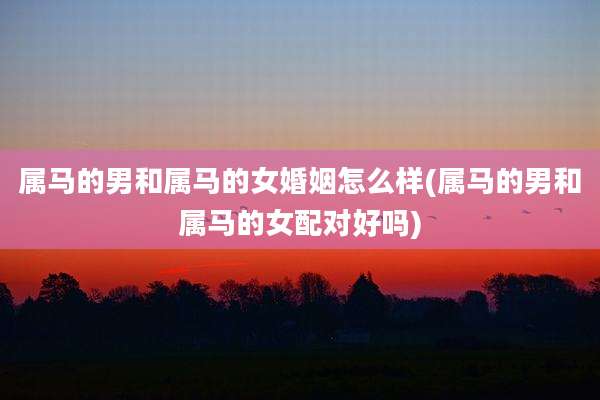 属马的男和属马的女婚姻怎么样(属马的男和属马的女配对好吗)