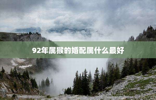 92年属猴的婚配属什么最好