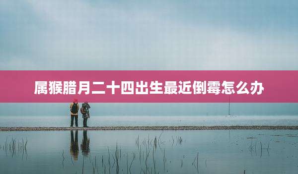 属猴腊月二十四出生最近倒霉怎么办