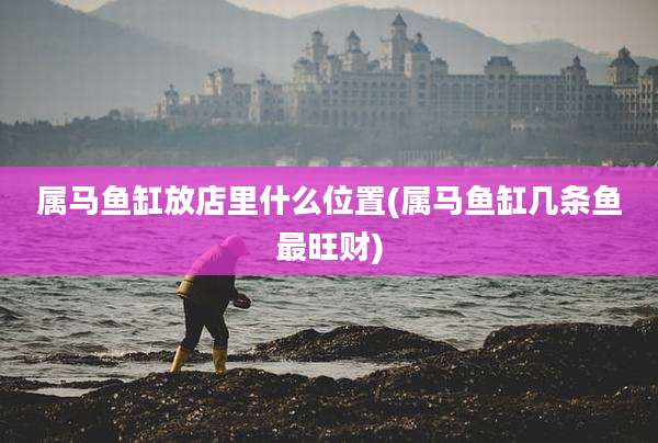 属马鱼缸放店里什么位置(属马鱼缸几条鱼最旺财)