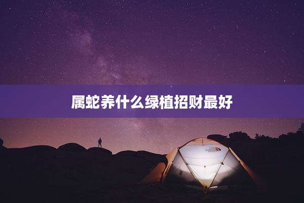 属蛇养什么绿植招财最好