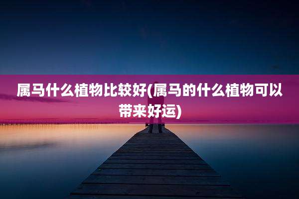 属马什么植物比较好(属马的什么植物可以带来好运)