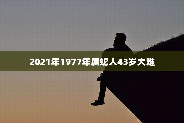 2021年1977年属蛇人43岁大难