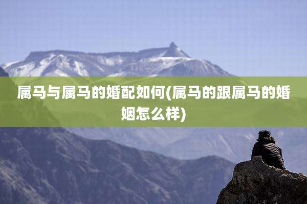 属马与属马的婚配如何(属马的跟属马的婚姻怎么样)