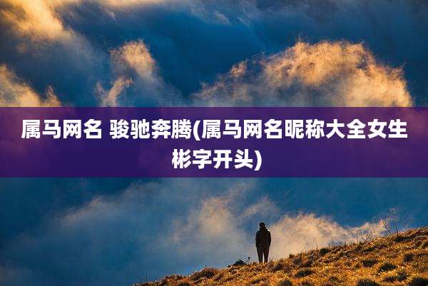 属马网名 骏驰奔腾(属马网名昵称大全女生 彬字开头)