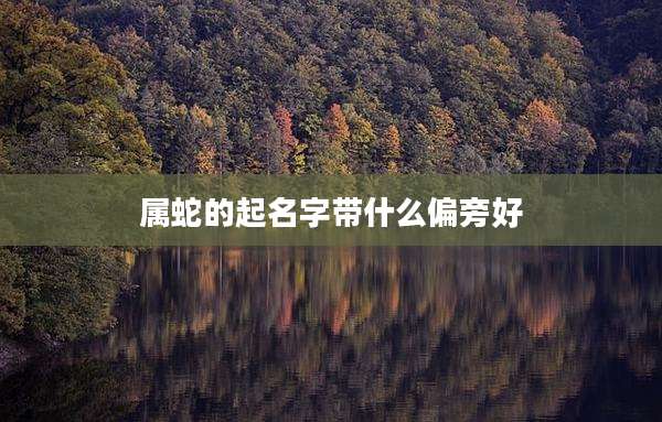 属蛇的起名字带什么偏旁好