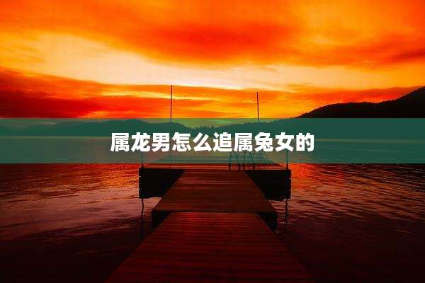 属龙男怎么追属兔女的