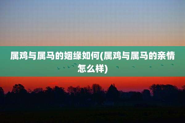 属鸡与属马的姻缘如何(属鸡与属马的亲情怎么样)